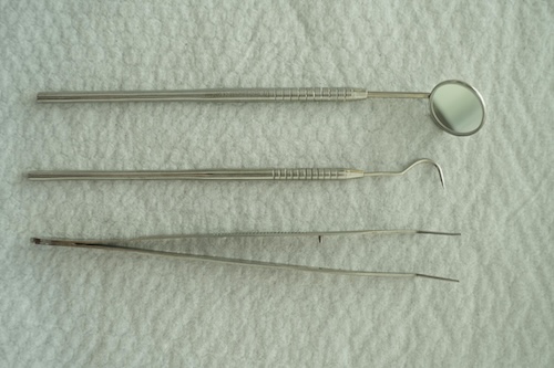 Dental Hygienists